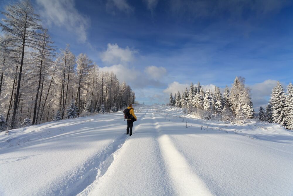 Winter
