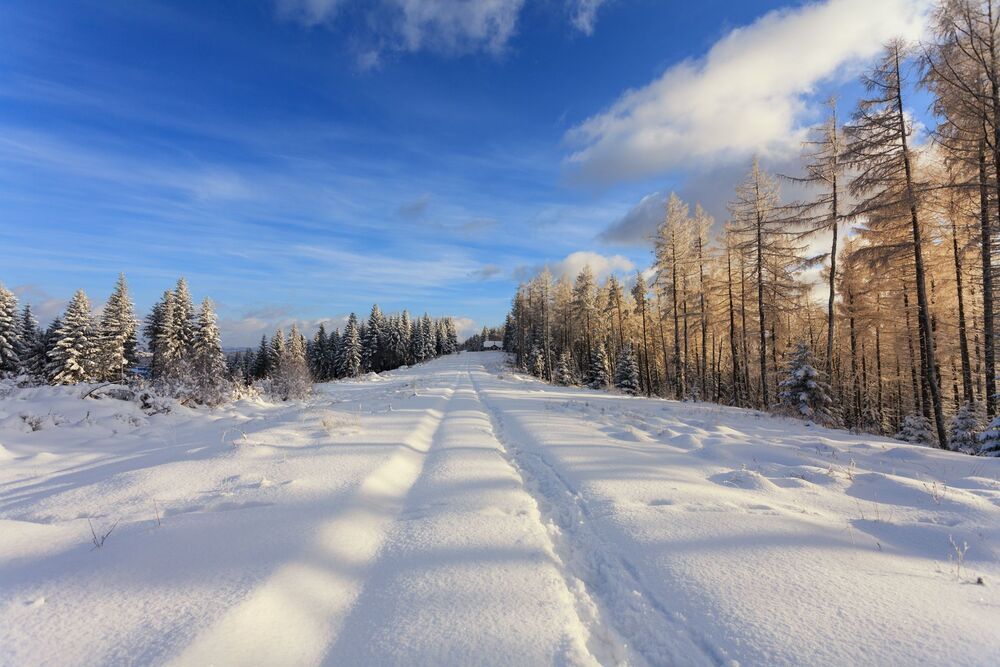Winter