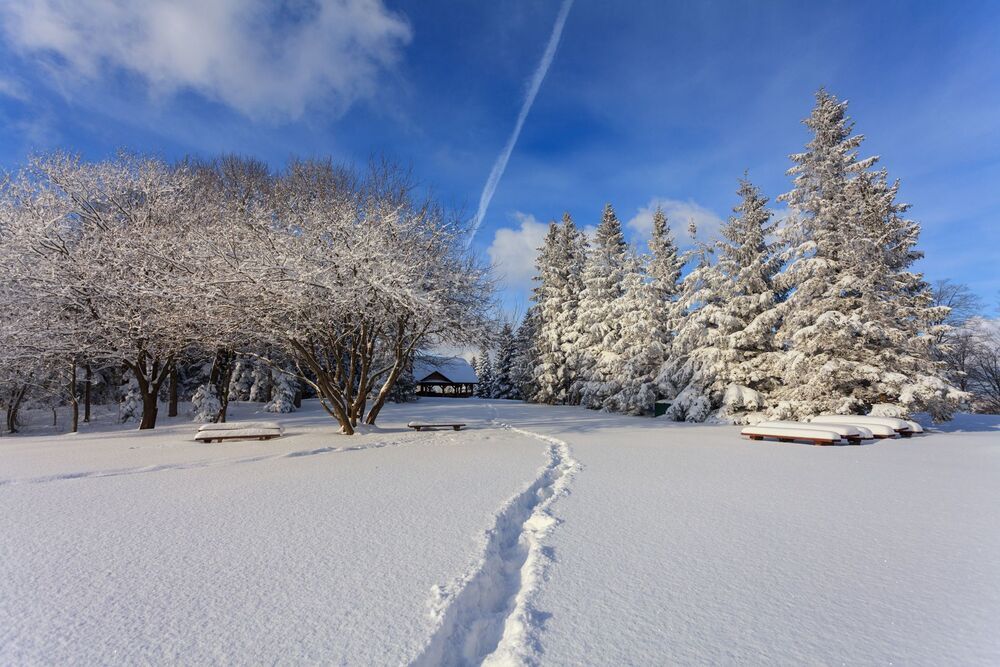 Winter