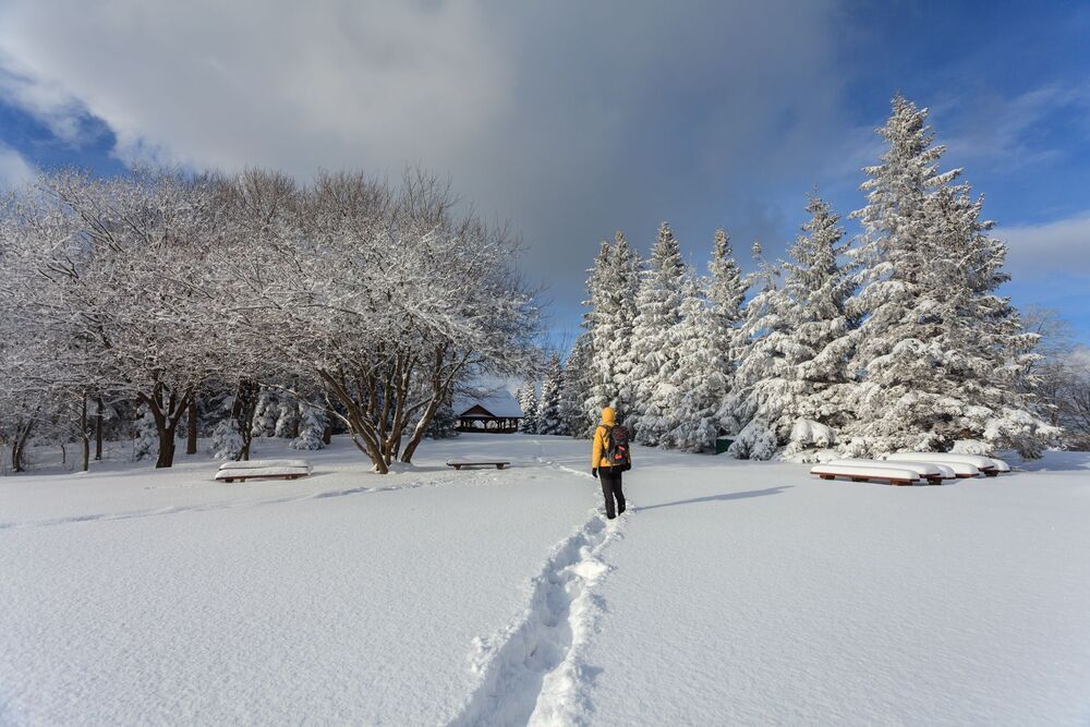 Winter