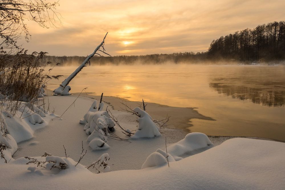 Морозы
