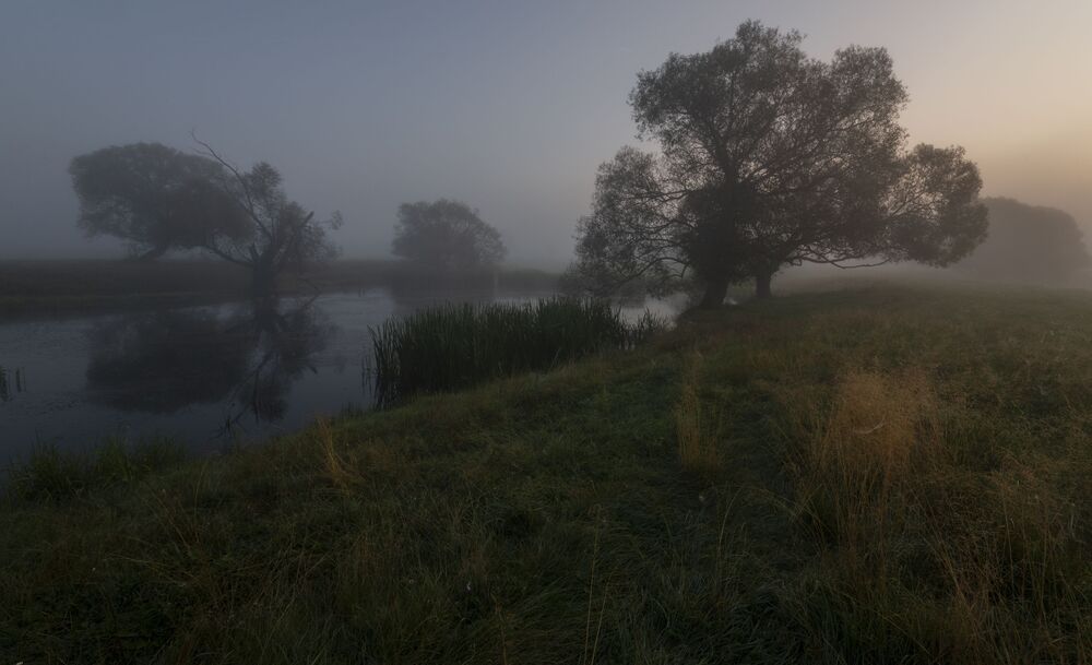 foggy morning...