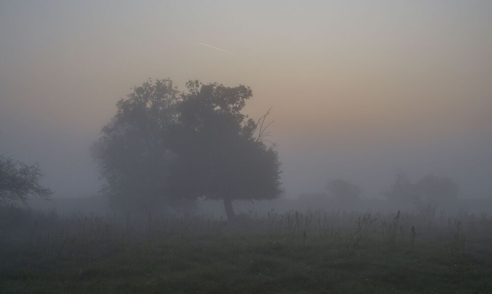 foggy morning...