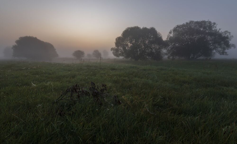 foggy morning...