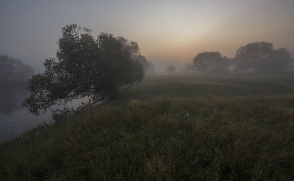 foggy morning...
