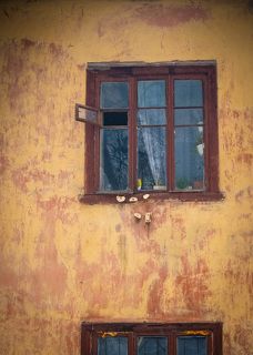 Кормление птиц