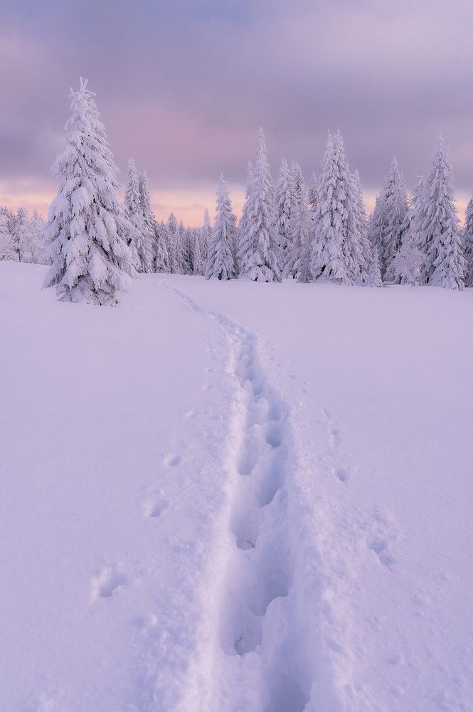 Jizera mountains
