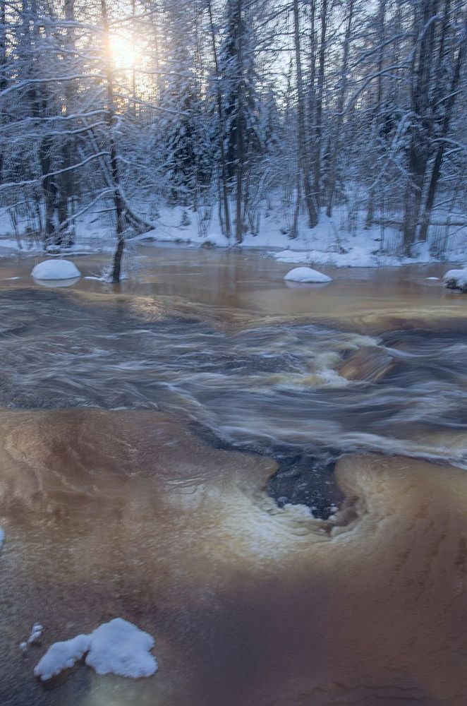 Рощинка