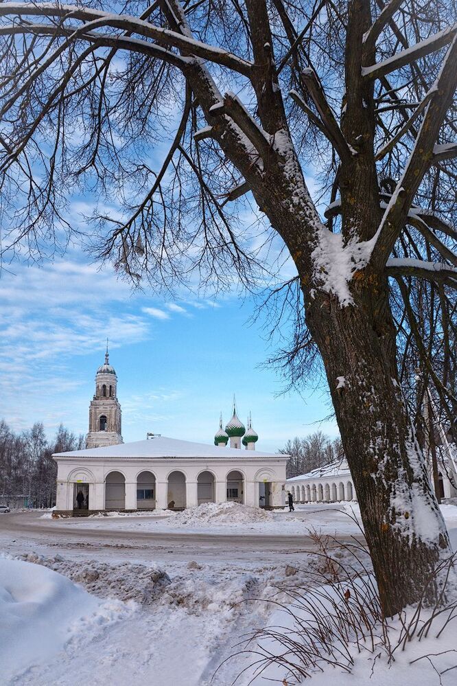 В уездном городе N