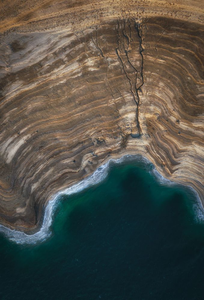 Dead Sea Tree