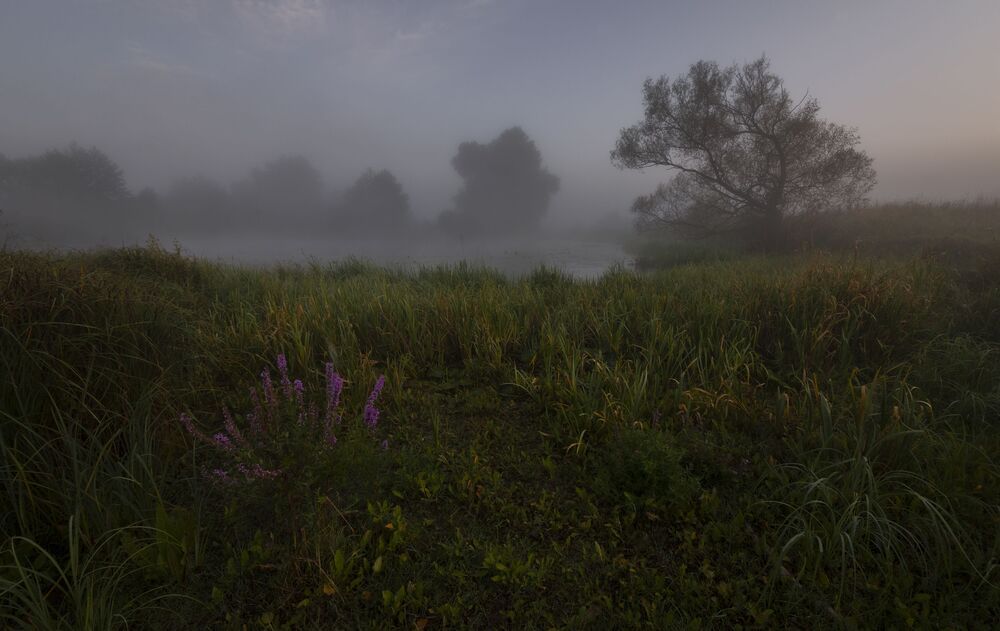 foggy dawn...