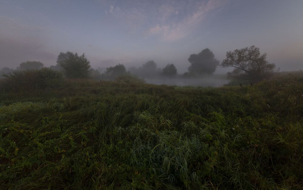foggy dawn...