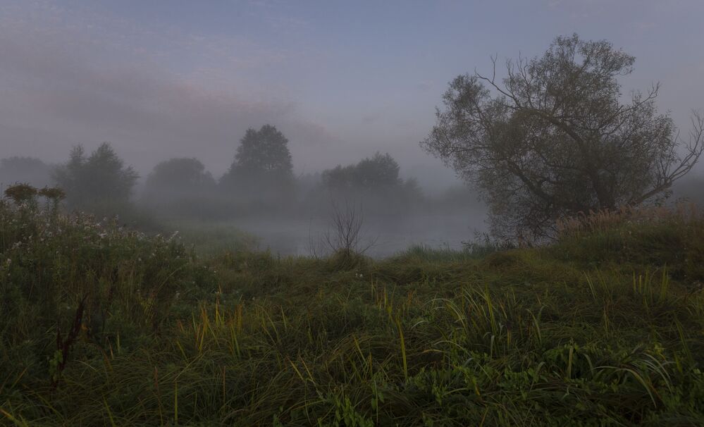 foggy dawn...