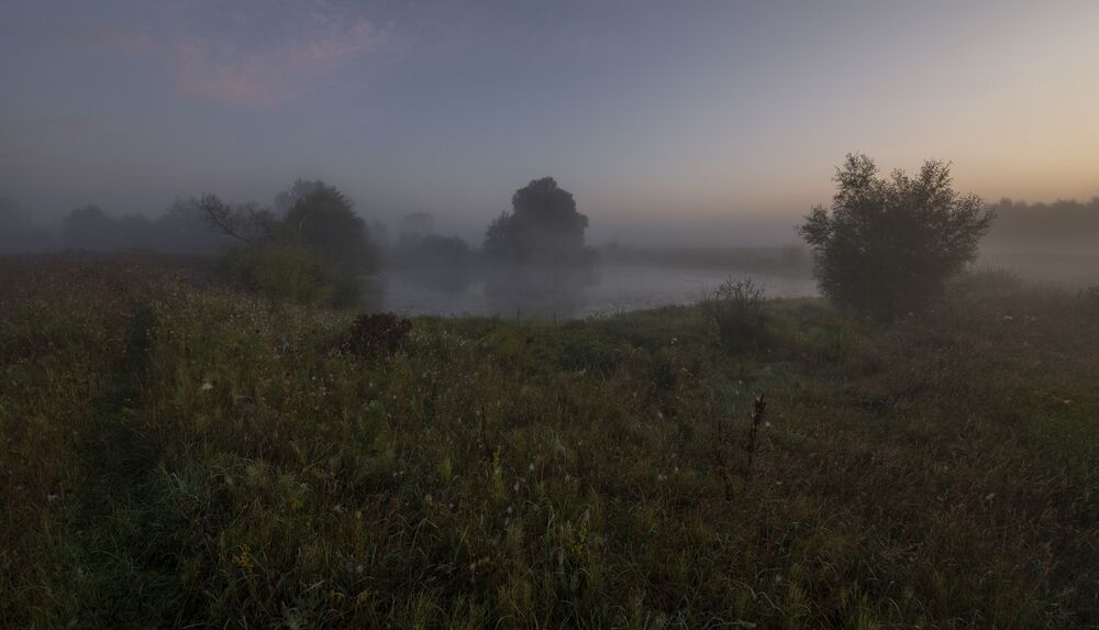 foggy dawn...