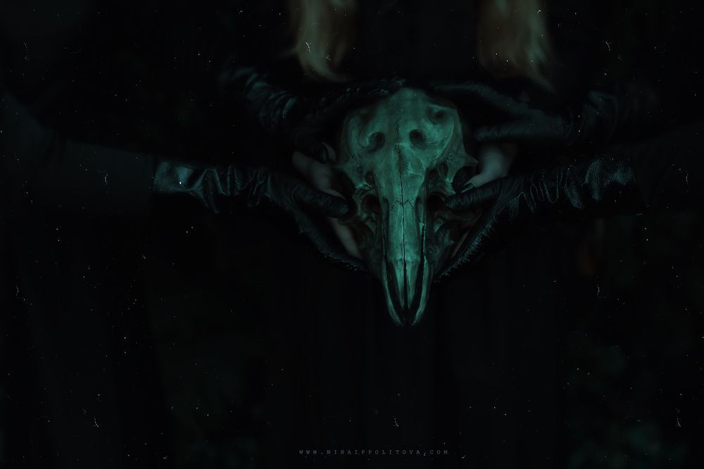 Д у б л и к а т ы  