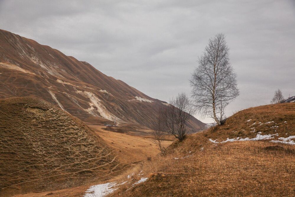 Береза в горах..