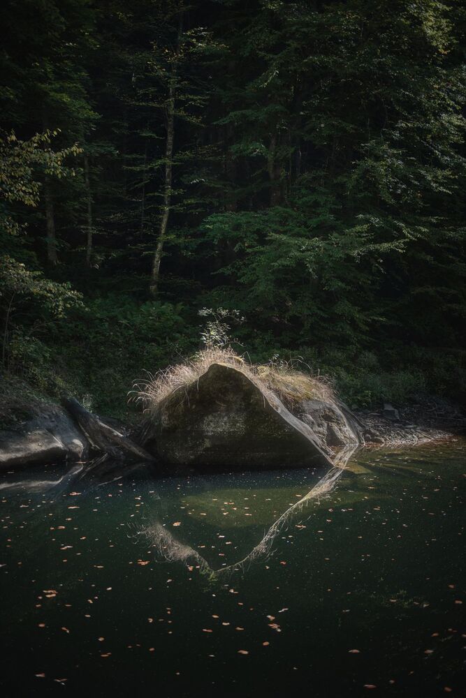 Photo 1866142