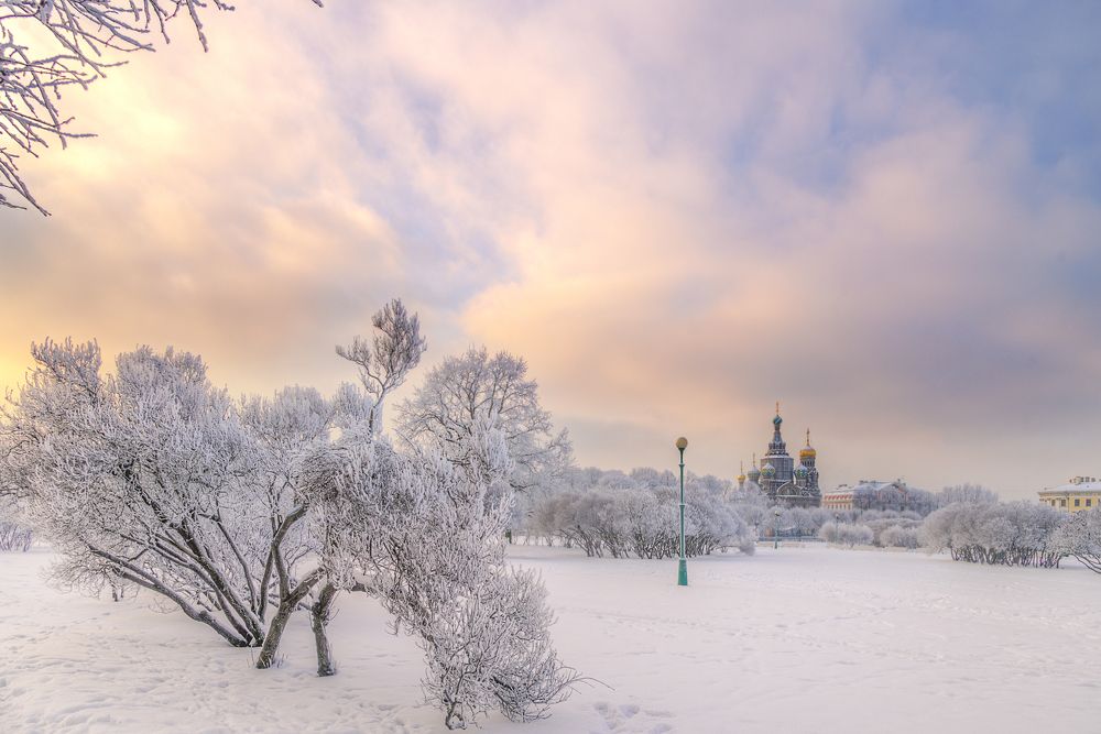 февральское утро....