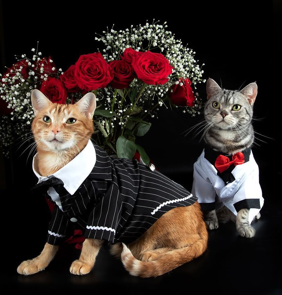 Happy Valentine's Day!