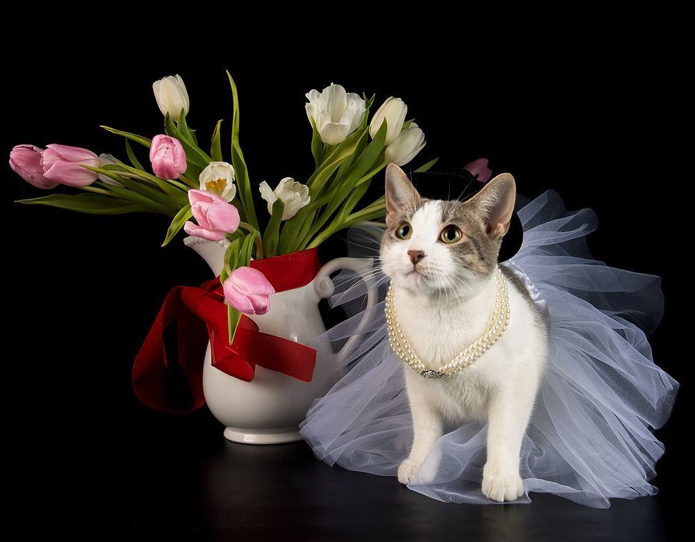 Happy Valentine's Day!