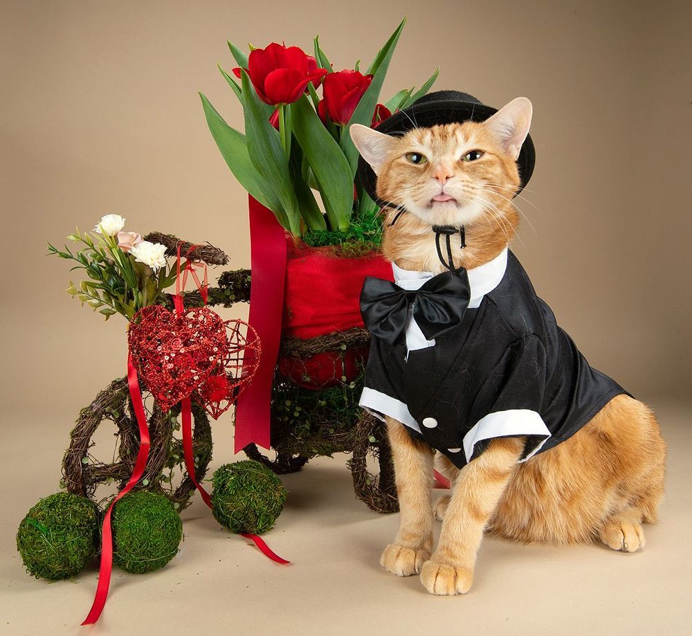 Happy Valentine's Day!