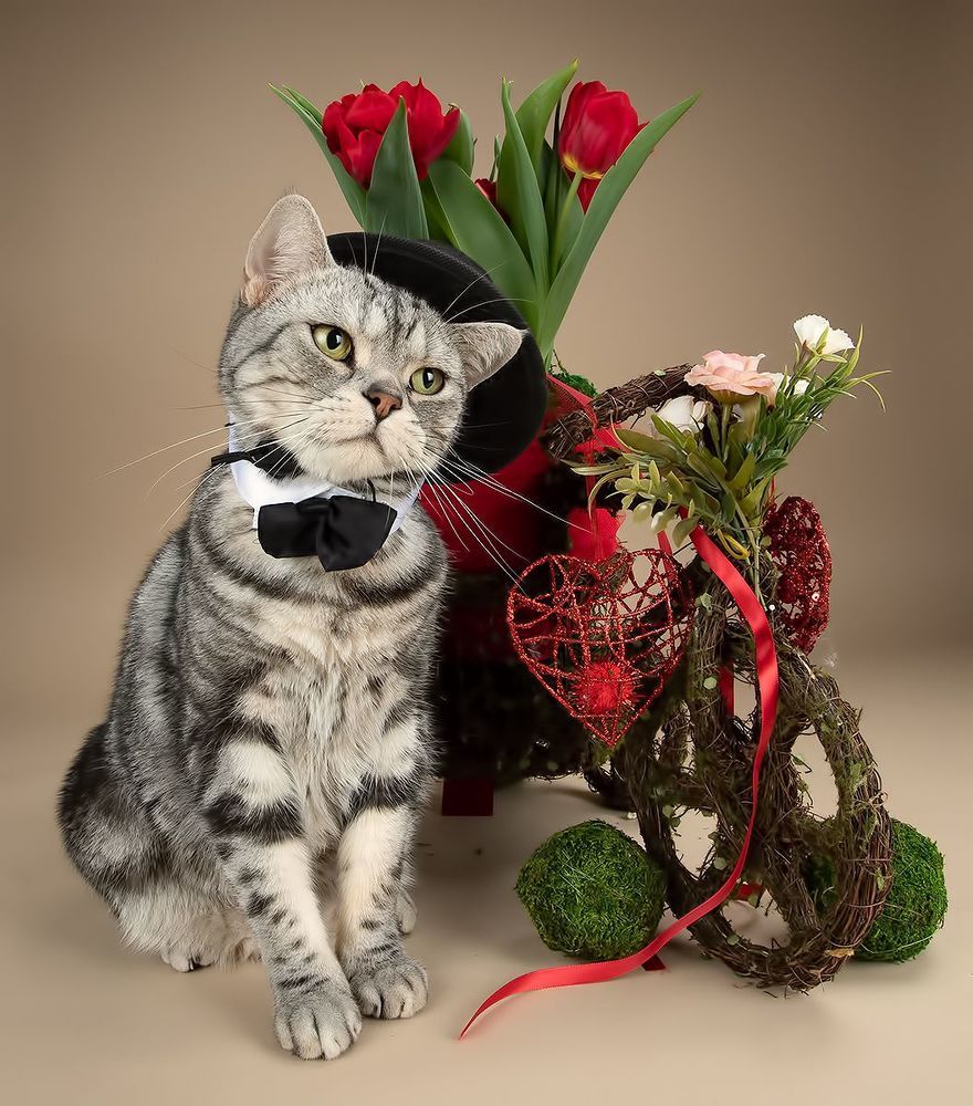 Happy Valentine's Day!