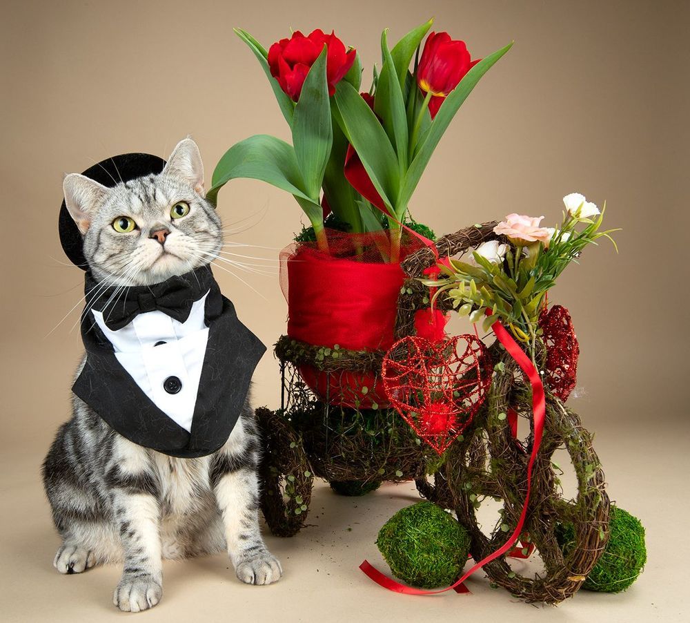 Happy Valentine's Day!