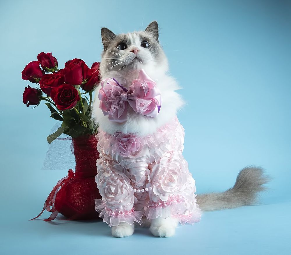 Happy Valentine's Day!