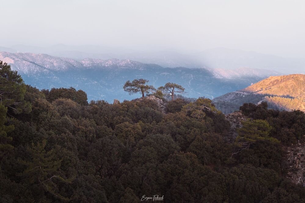 Troodos Cyprus