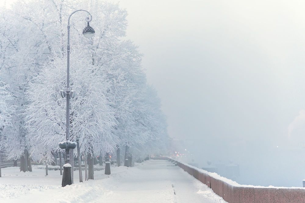 зимние краски Петербурга...
