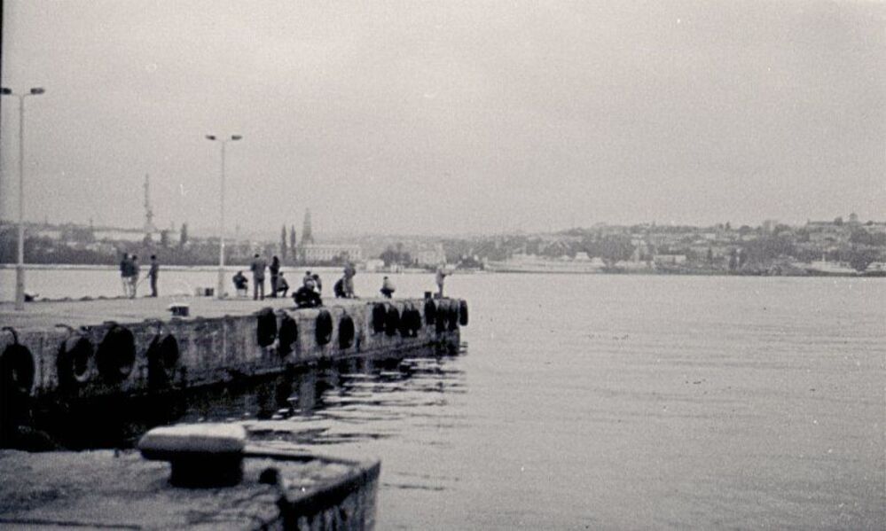Photo 188862
