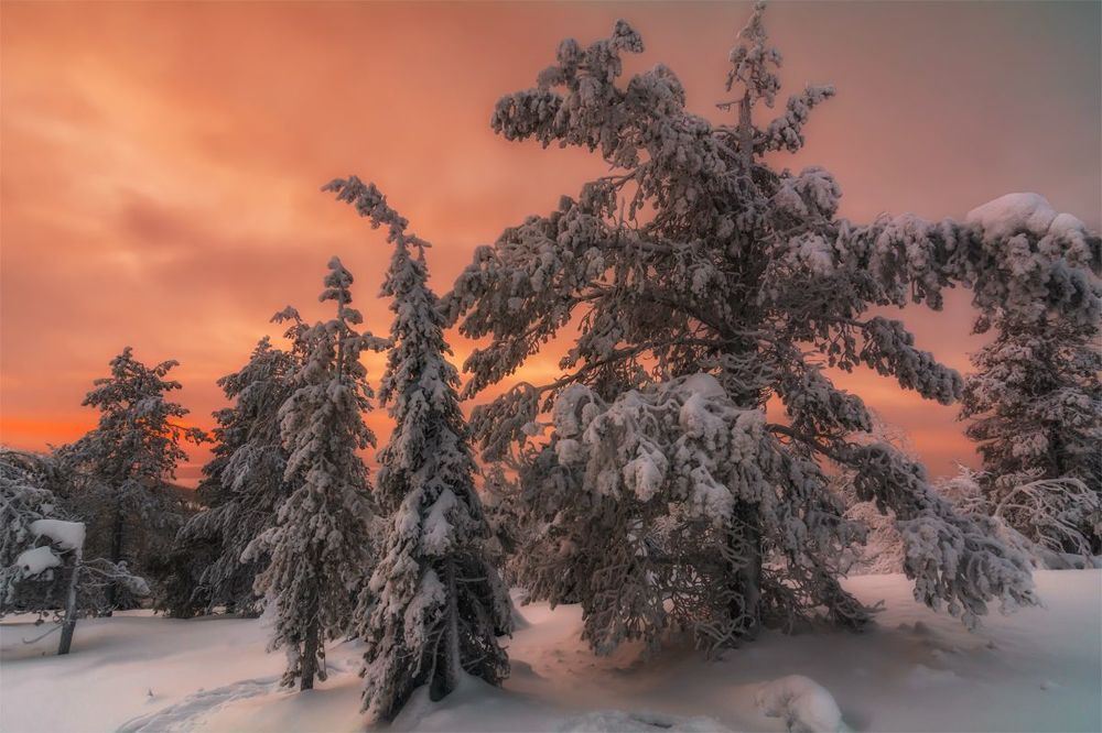 Сумерки
