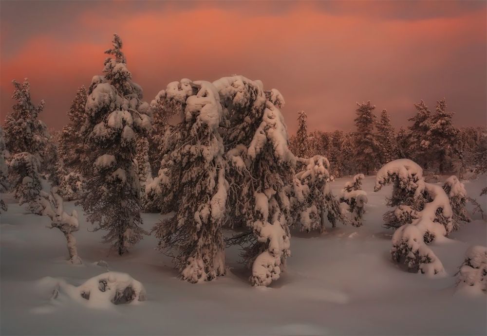 Сумерки