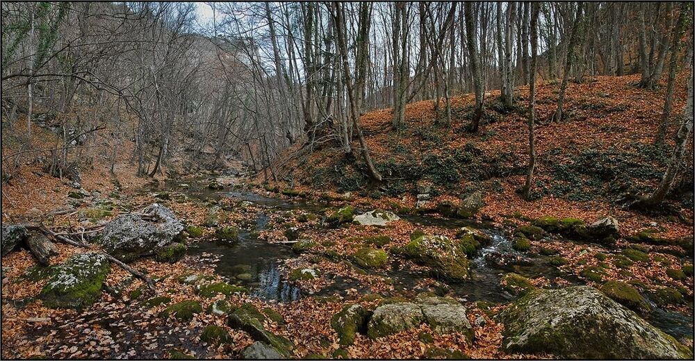 На дне каньона, западная часть.