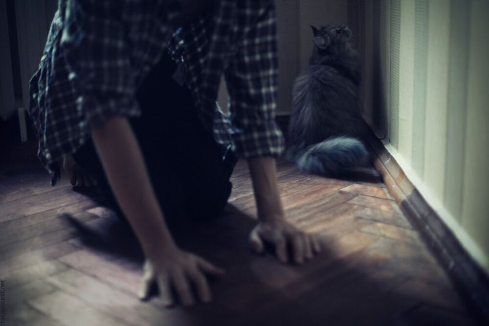 he+she