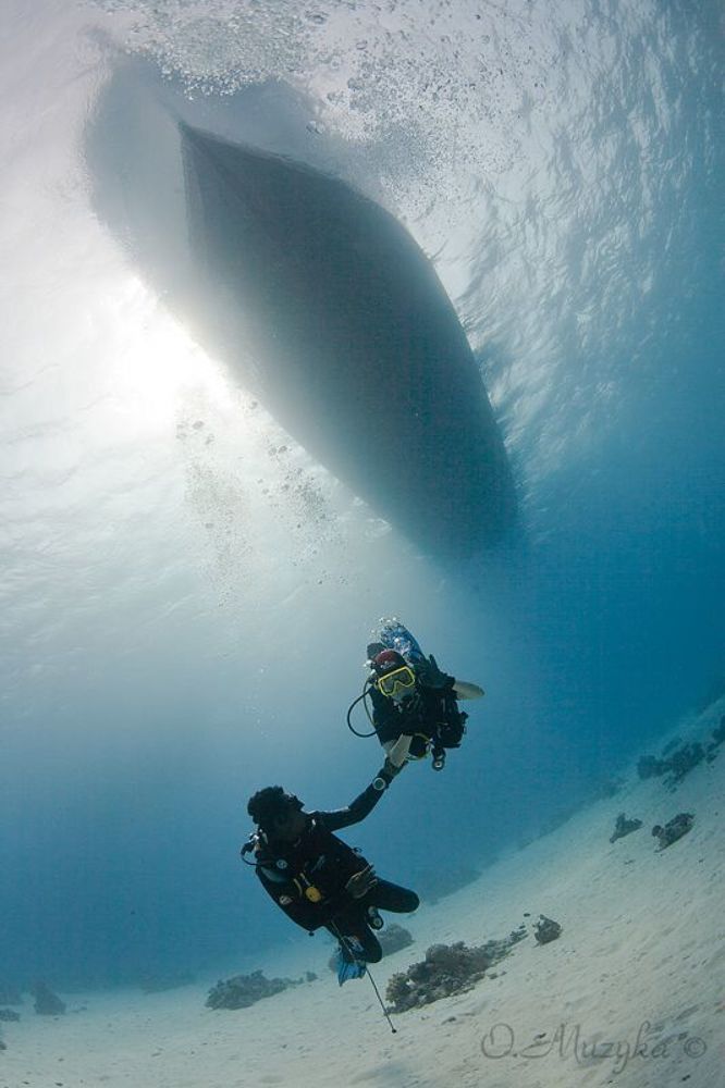 На юге Красного моря