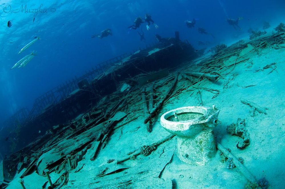 На юге Красного моря