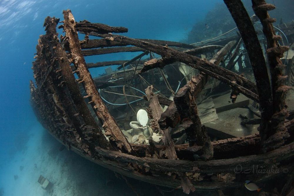 На юге Красного моря