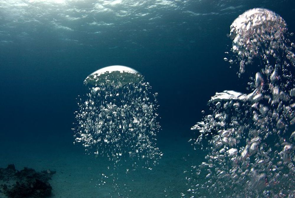На юге Красного моря