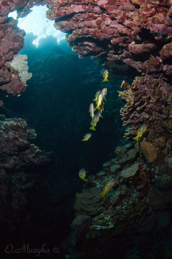 На юге Красного моря
