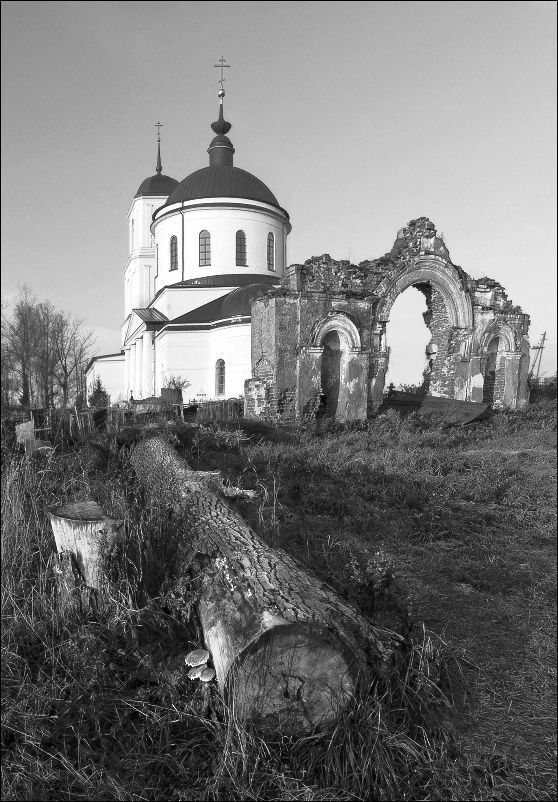 Photo 19555