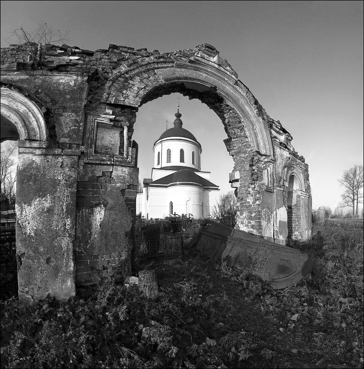 Photo 19556