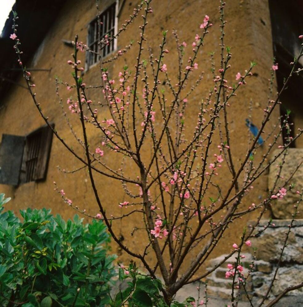 Ha Giang - Vietnam