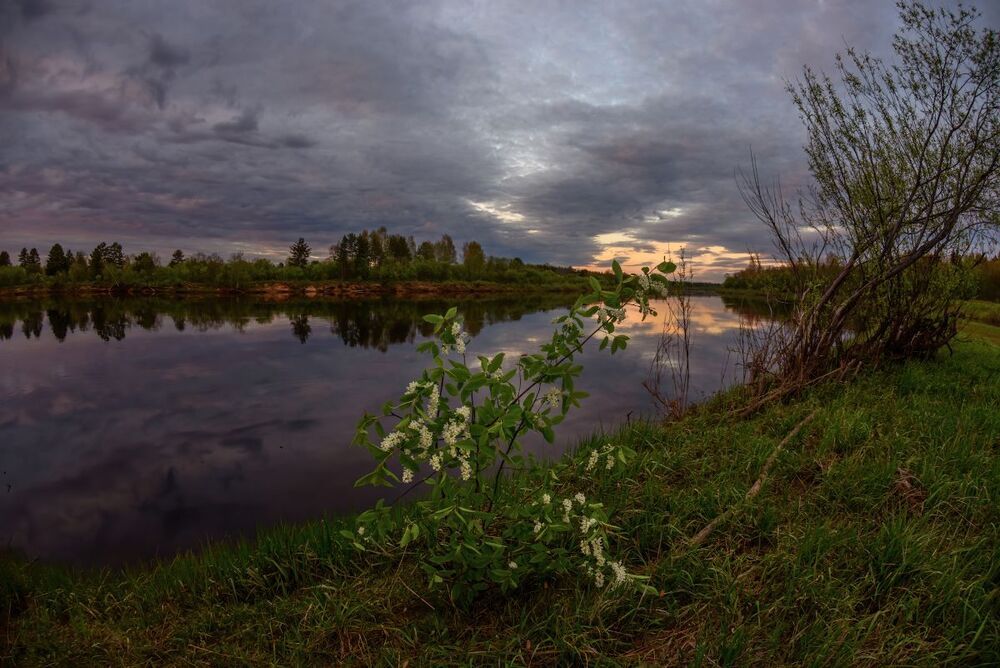 про весну, багровый закат и черемуху
