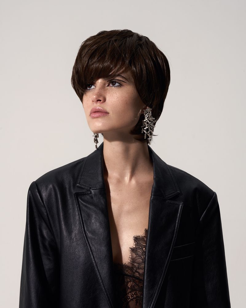 Vlada
