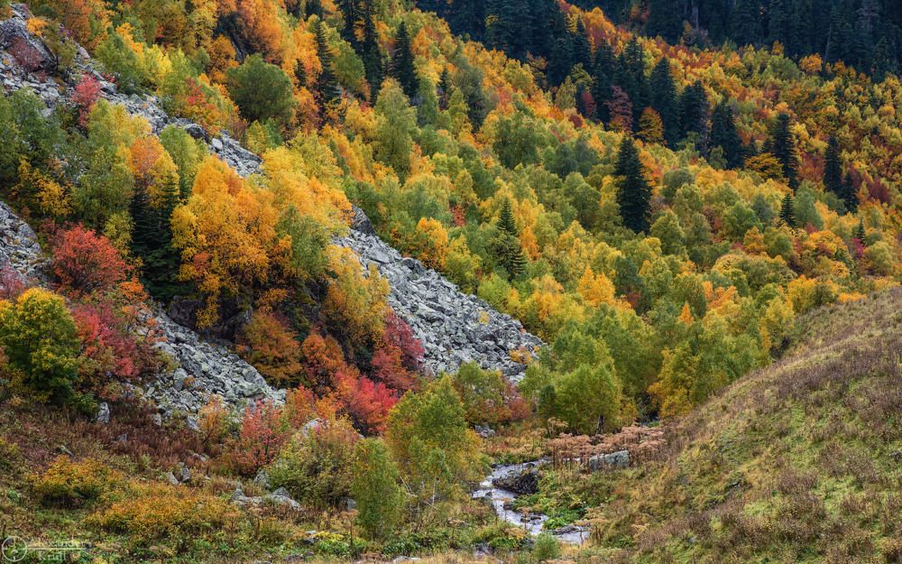 Палитра горной осени...