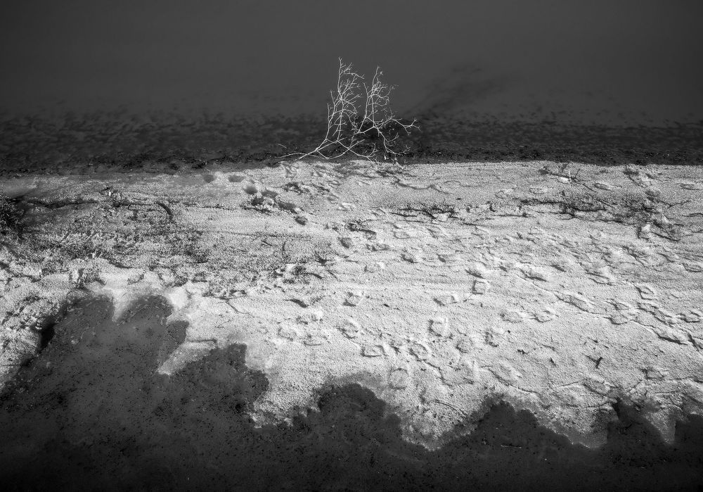 Photo 1919117