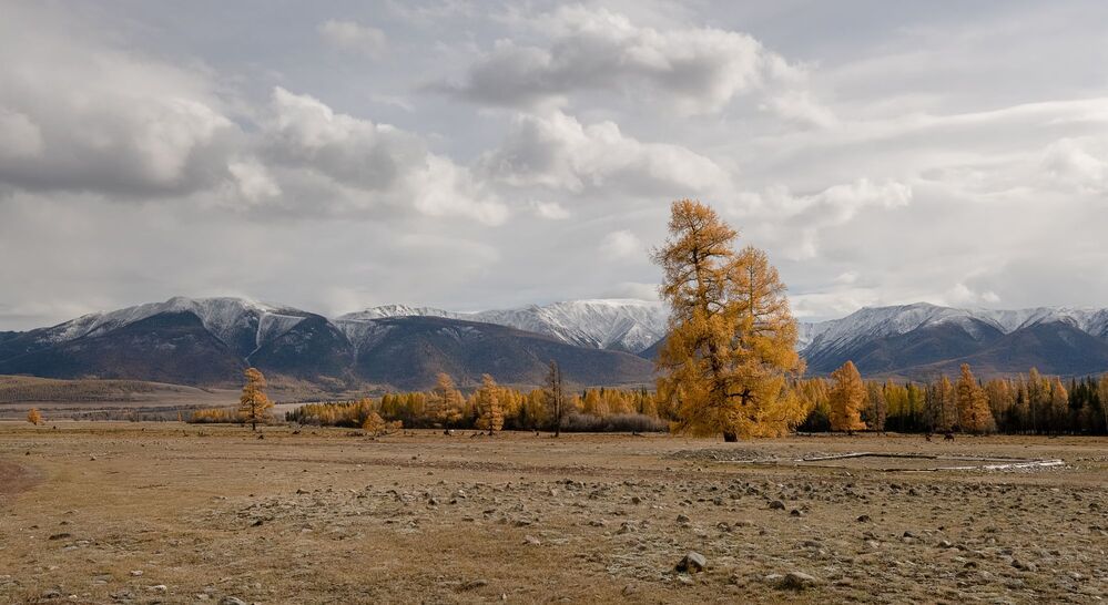 Осенний Курай.