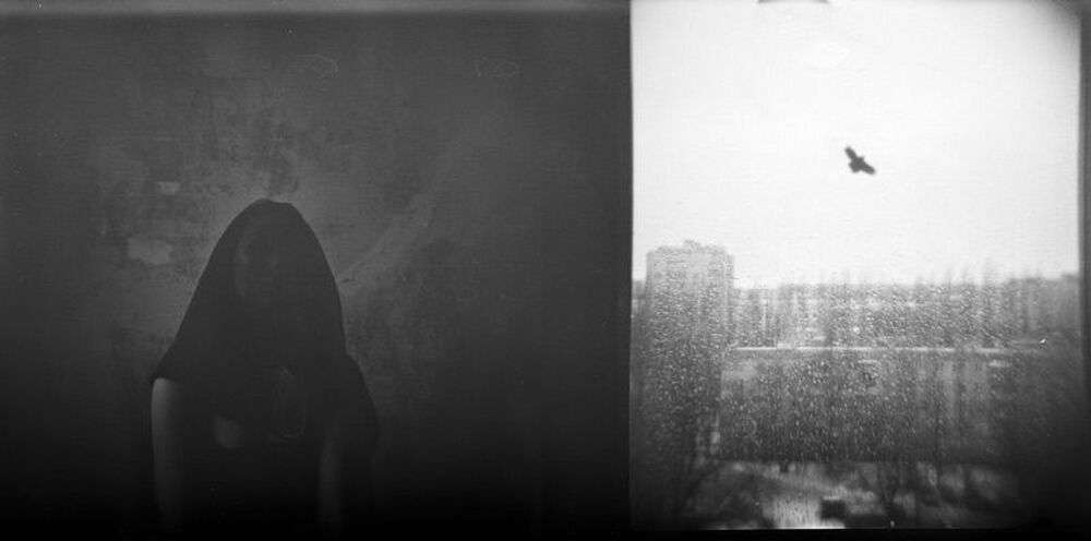 Photo 192144