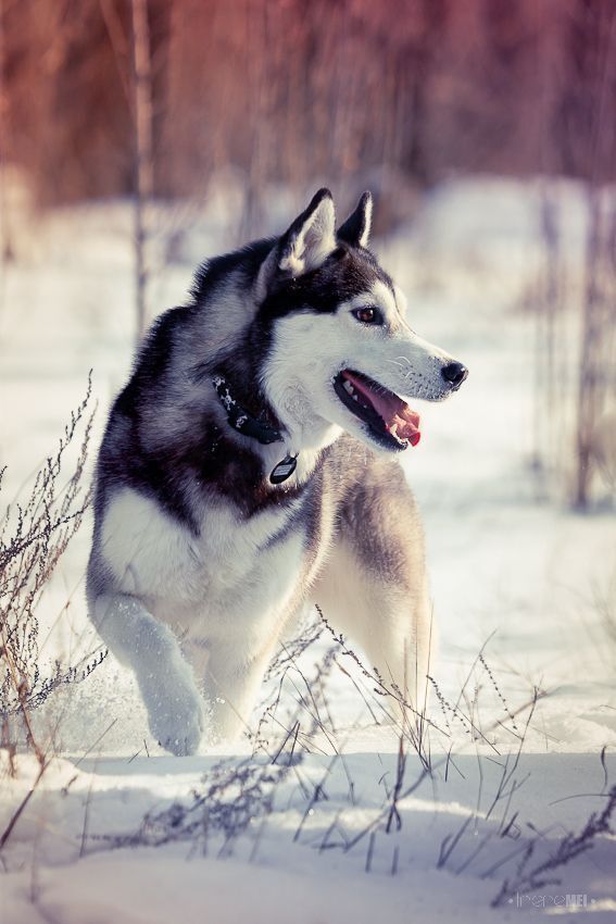 Winter Fun